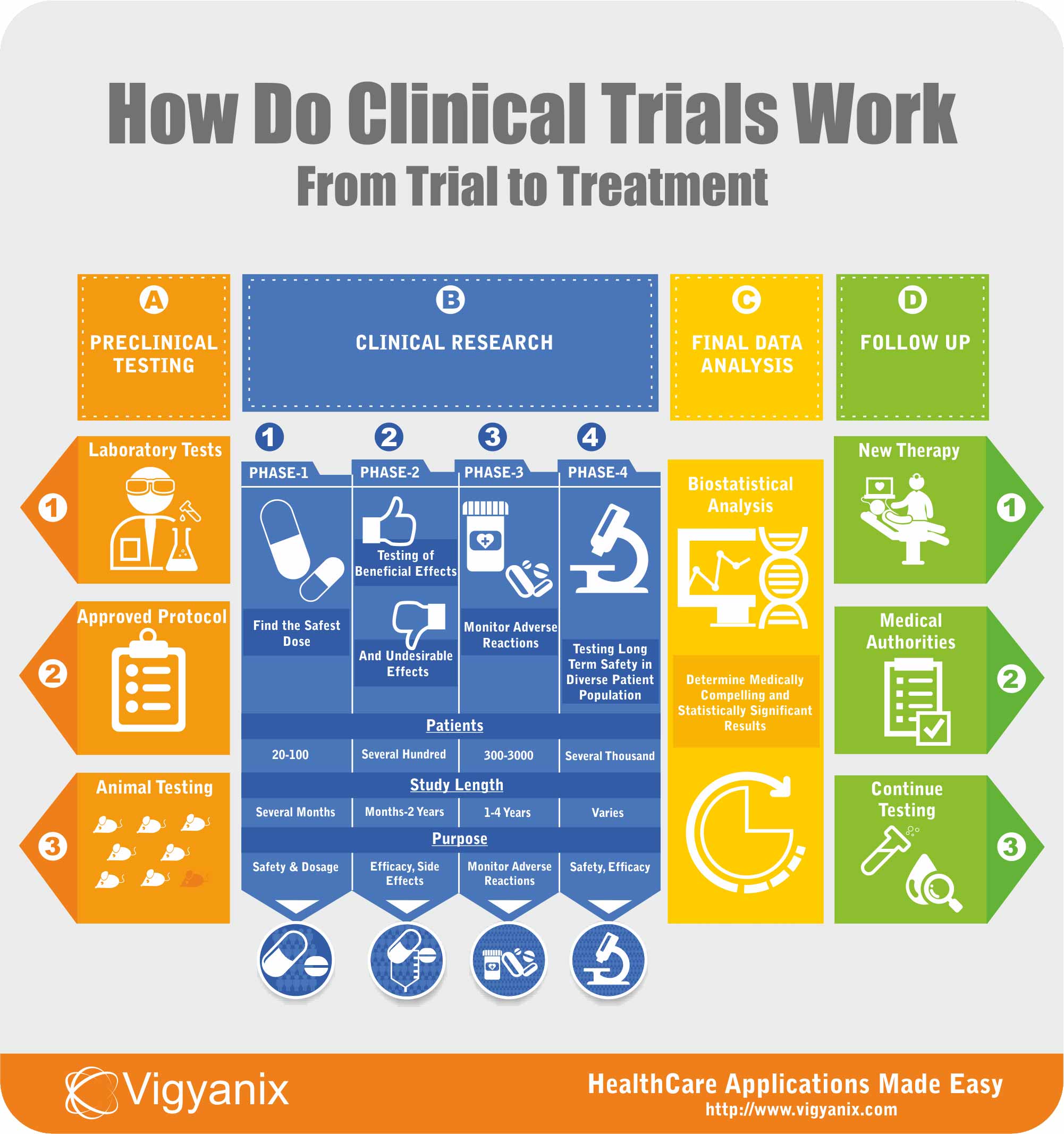 How Do Clinical Trials Work From Trial To Treatment Infographic Vigyanix